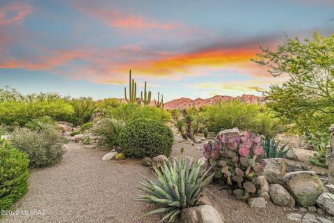 602 E Silver Cloud Pl, Oro Valley, AZ 85755 photo 26