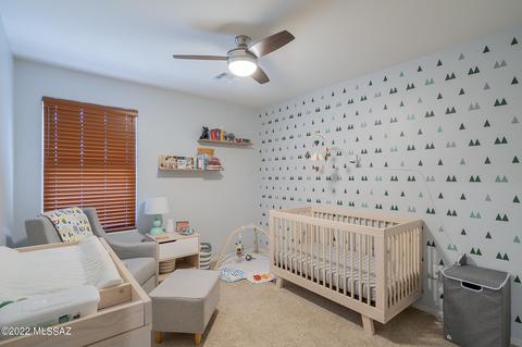 14201 E Bolster Dr, Vail, AZ 85641 photo 21