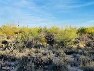 12511 N Oldfather Rd, Marana, AZ 85658