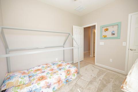 12088 E Domnitch Dr, Vail, AZ 85641 photo 21