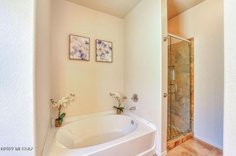 13765 E Oxmoor Valley Dr, Vail, AZ 85641 photo 12