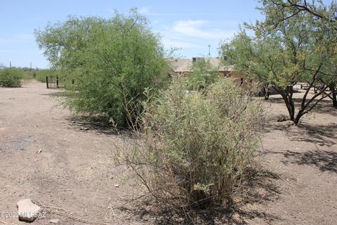 1232 E Morris Ln, Benson, AZ 85602 photo 41