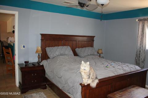 1232 E Morris Ln, Benson, AZ 85602 photo 17