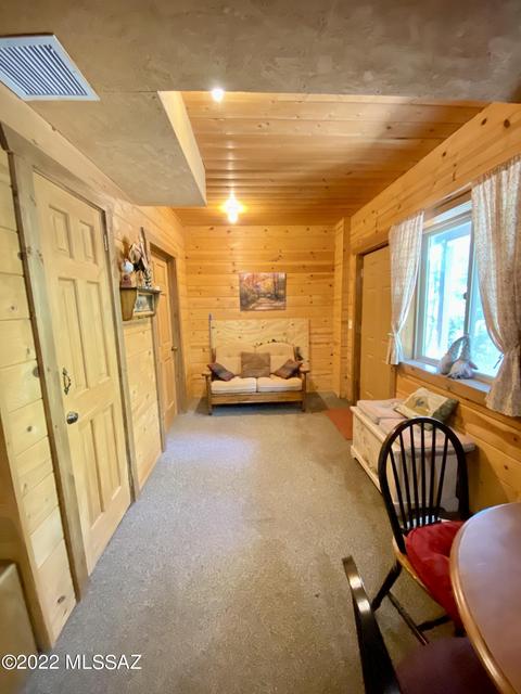 11300 E Bisbee Ave, Mount Lemmon, AZ 85619 photo 15