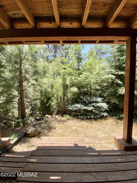 11300 E Bisbee Ave, Mount Lemmon, AZ 85619 photo 18