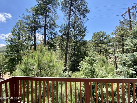 11300 E Bisbee Ave, Mount Lemmon, AZ 85619 photo 25