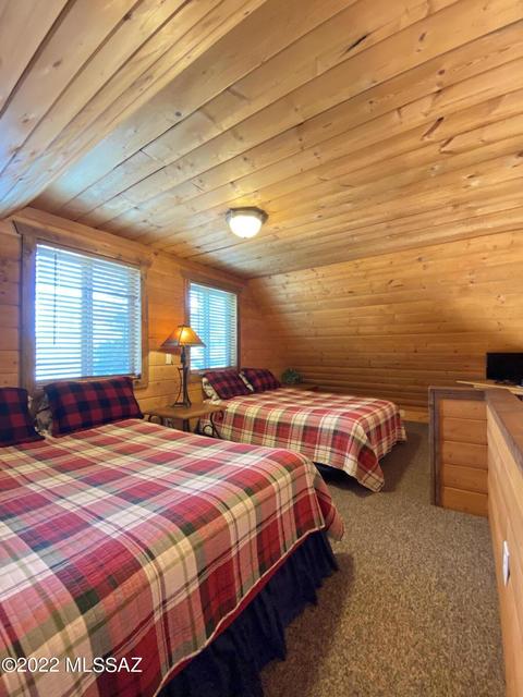11300 E Bisbee Ave, Mount Lemmon, AZ 85619 photo 9