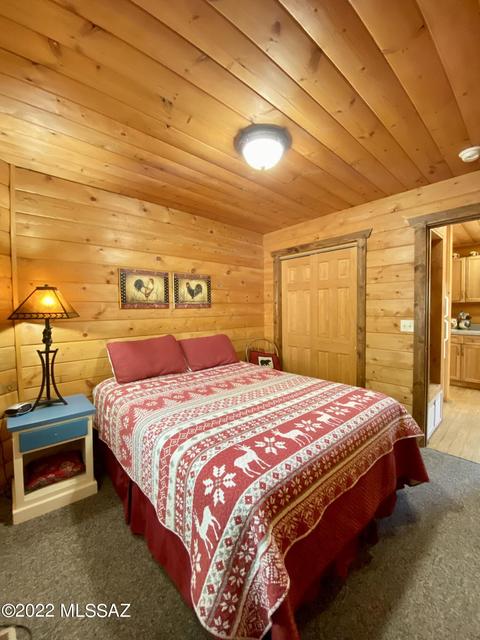 11300 E Bisbee Ave, Mount Lemmon, AZ 85619 photo 7