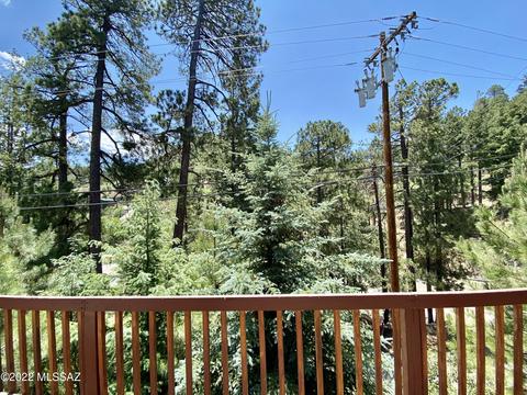 11300 E Bisbee Ave, Mount Lemmon, AZ 85619 photo 19