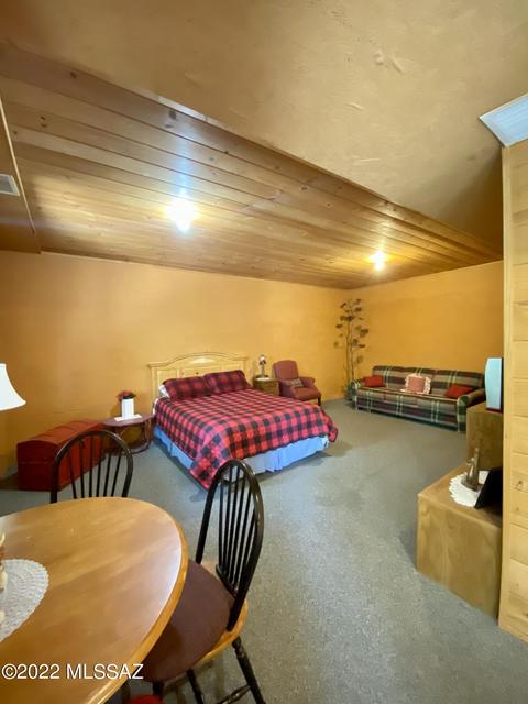 11300 E Bisbee Ave, Mount Lemmon, AZ 85619 photo 14