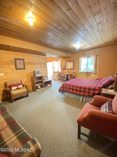 11300 E Bisbee Ave, Mount Lemmon, AZ 85619 photo 12
