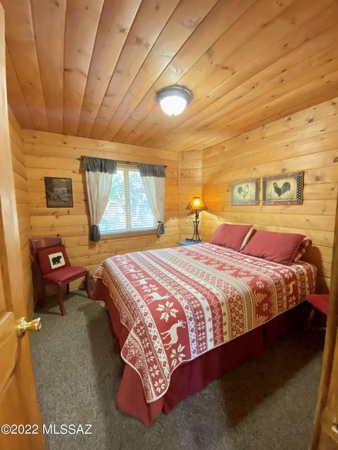 11300 E Bisbee Ave, Mount Lemmon, AZ 85619 photo 8