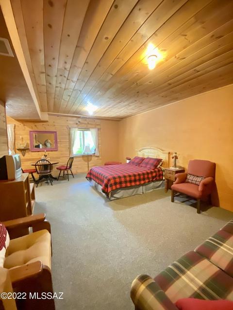 11300 E Bisbee Ave, Mount Lemmon, AZ 85619 photo 13