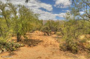 9521 E Quiet Pl, Tucson, AZ 85749 photo 41