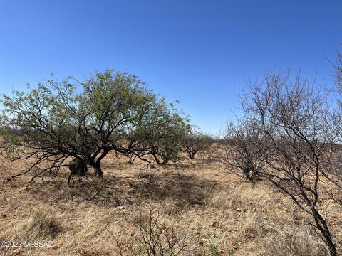 Tbd Camino Nacozari, Tubac, AZ 85646