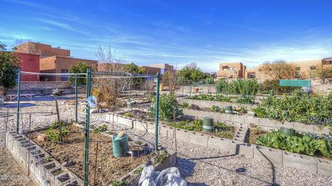 10426 E Sixto Molina Ln, Tucson, AZ 85747 photo 39