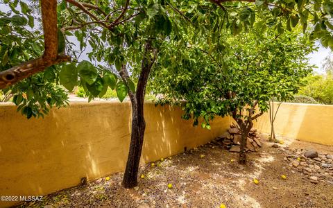 10426 E Sixto Molina Ln, Tucson, AZ 85747 photo 31