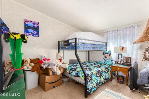 13699 E Garigans Gulch, Vail, AZ 85641 photo 18