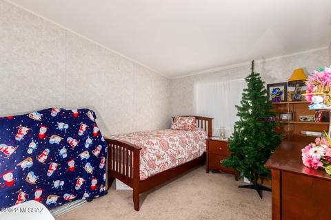 13699 E Garigans Gulch, Vail, AZ 85641 photo 19