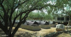 9020 Eagle Pl, Tucson, AZ 85749 photo 28
