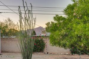5519 E 3rd St, Tucson, AZ 85711 photo 8