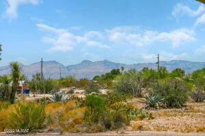 8895 E Abrams Loop, Tucson, AZ 85710 photo 28