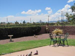 924 E Saguaro Dr, Pearce, AZ 85625 photo 10