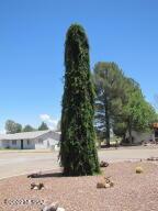 924 E Saguaro Dr, Pearce, AZ 85625 photo 31