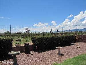 924 E Saguaro Dr, Pearce, AZ 85625 photo 19