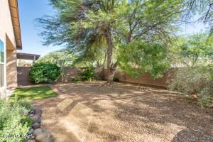 9002 E Ironbark St, Tucson, AZ 85747 photo 48