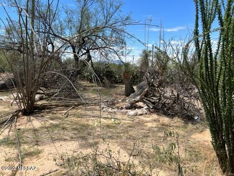 12845 W Cornell Dr, Tucson, AZ 85736 photo 9