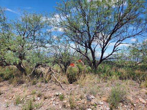 211 Paseo Mascota, Rio Rico, AZ 85648