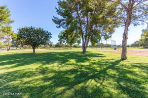 1950 E Pinon Dr, Tucson, AZ 85706 photo 43