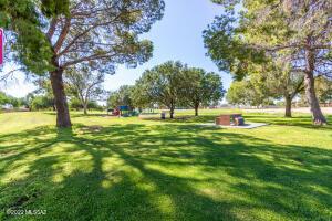 1950 E Pinon Dr, Tucson, AZ 85706 photo 42