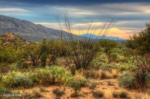 2901 N Placita Muy Escondida, Tucson, AZ 85749