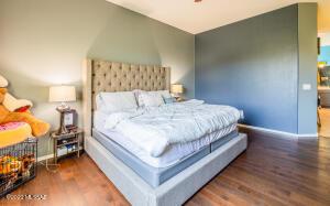 552 S Blue River Loop, Vail, AZ 85641 photo 18