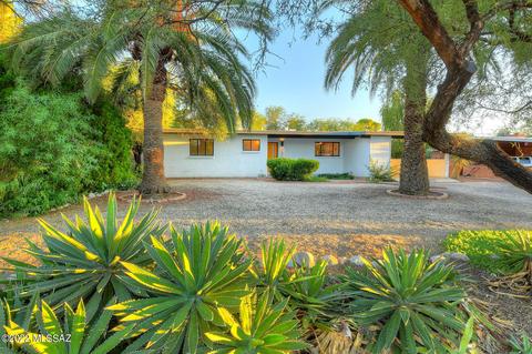 5352 E 3rd St, Tucson, AZ 85711 photo 3