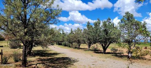6475 E Highway 181, Pearce, AZ 85625 photo 7