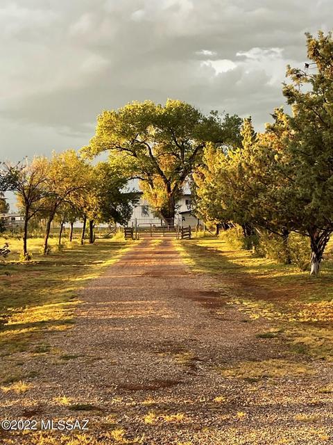6475 E Highway 181, Pearce, AZ 85625 photo 5