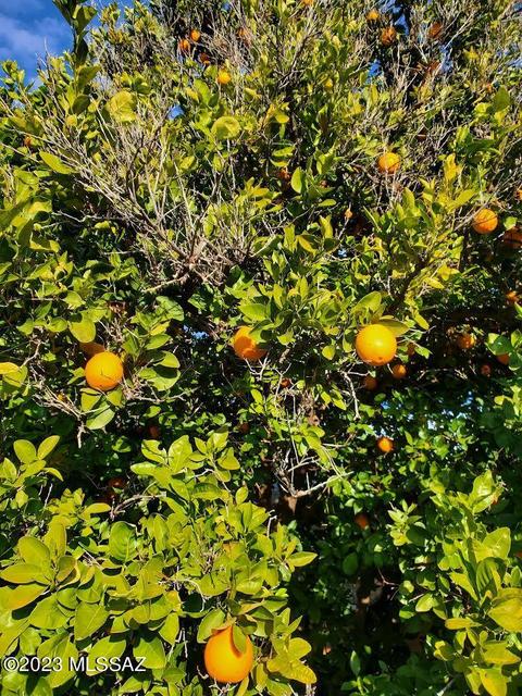 5618 E 34th St, Tucson, AZ 85711 photo 25