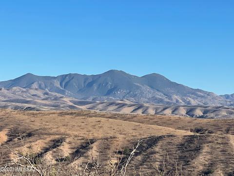 tbd Calle Mandarina, Rio Rico, AZ 85648