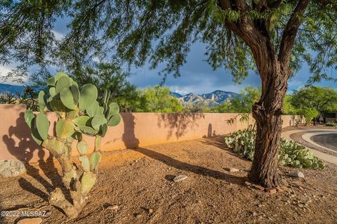 2587 E Chisel Ct, Oro Valley, AZ 85755 photo 26