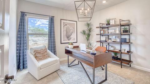 10090 N Ruby Range Trl, Marana, AZ 85653 photo 17
