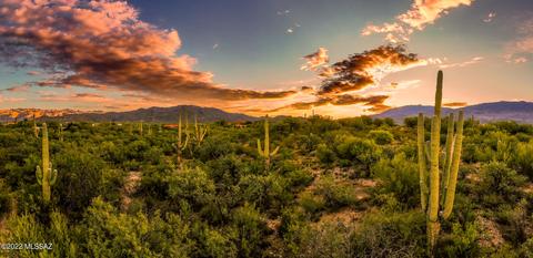 2195 N Calle El Trigo, Tucson, AZ 85749