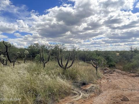 2050 W Eagle Way, Amado, AZ 85645 photo 41