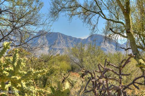 1246 W Ancient Canyon Pl #89, Oro Valley, AZ 85755