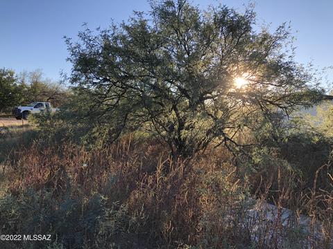 tbd W Linda Lane 19 Acre, Benson, AZ 85602