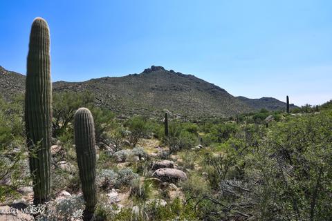 4155 W Cayton Mountain Dr, Marana, AZ 85658