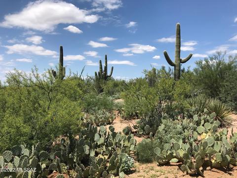 8412 S Circle C Ranch Rd, Vail, AZ 85641