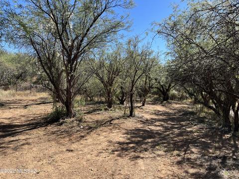 3959 E Pinal St, Tucson, AZ 85739 photo 28